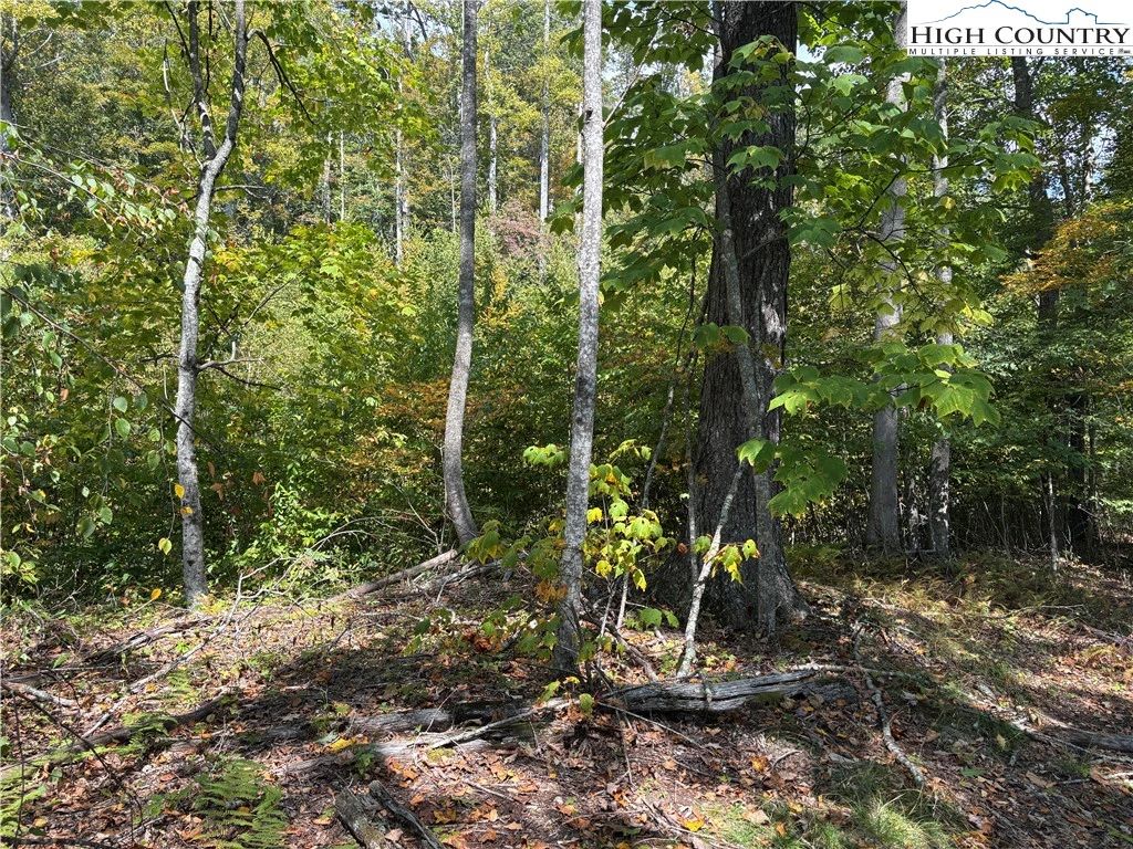 Image number 12 for the current listing