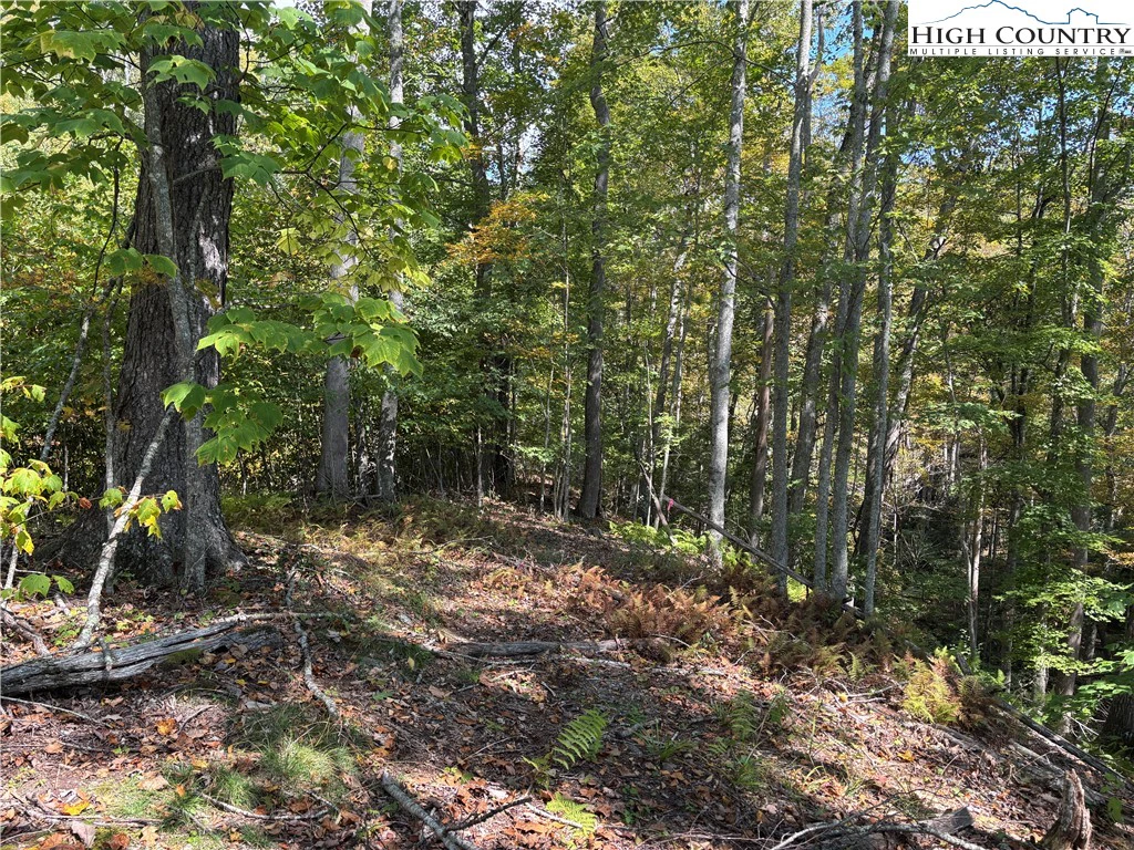 Image number 11 for the current listing