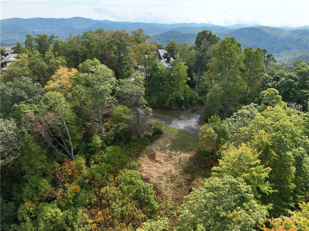 Image number 2 for the current listing