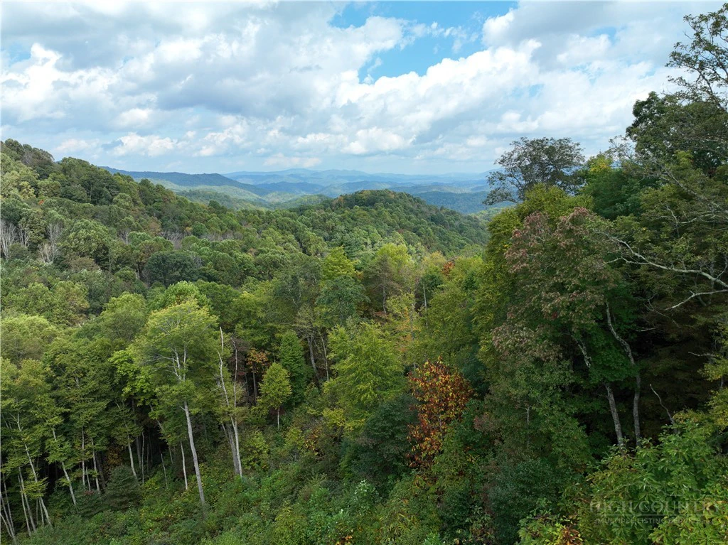 Image number 3 for the current listing
