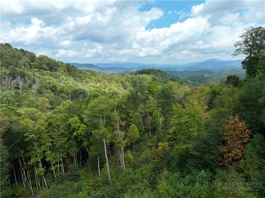 Image number 4 for the current listing