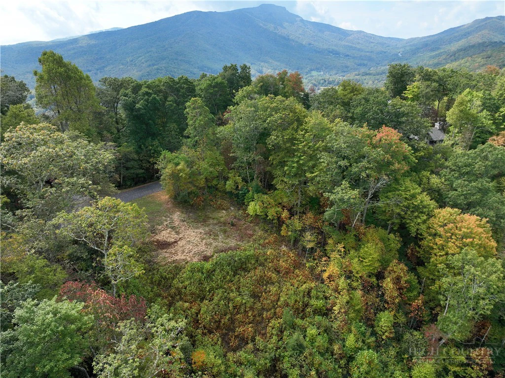 Image number 5 for the current listing