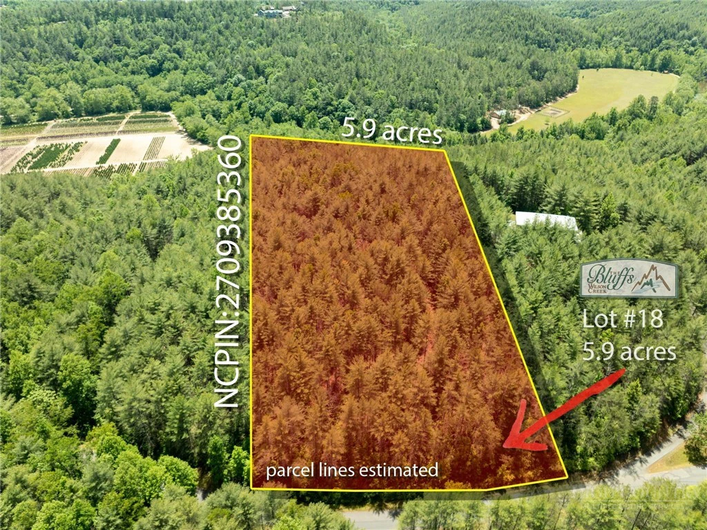 Image number 1 for the current listing