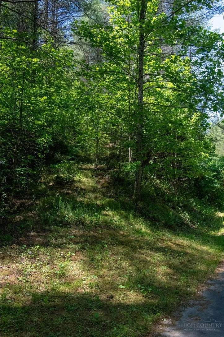 Image number 3 for the current listing