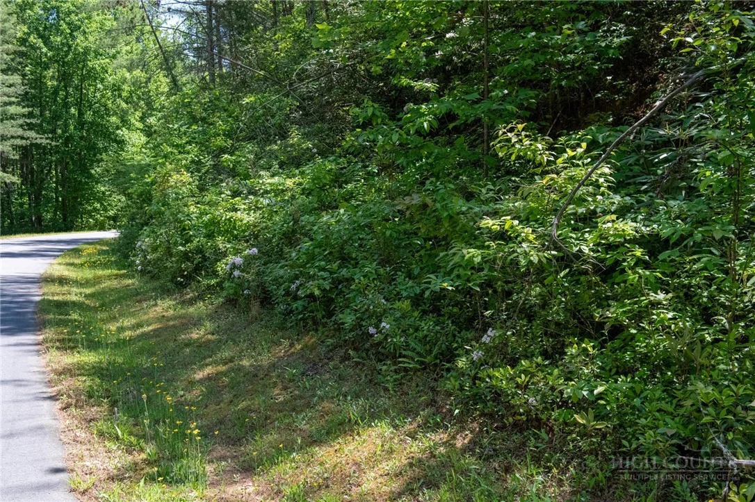 Image number 6 for the current listing