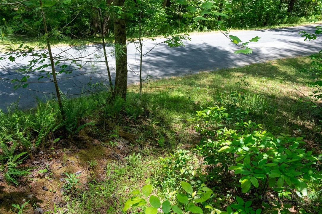 Image number 7 for the current listing