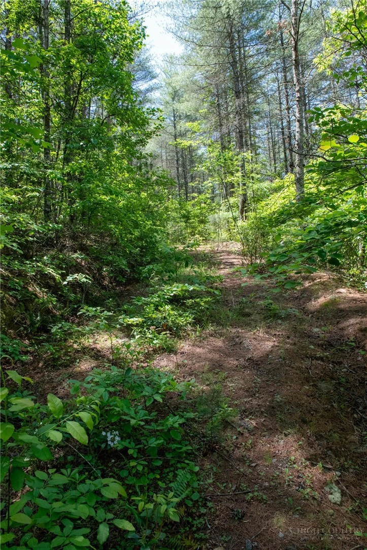 Image number 8 for the current listing
