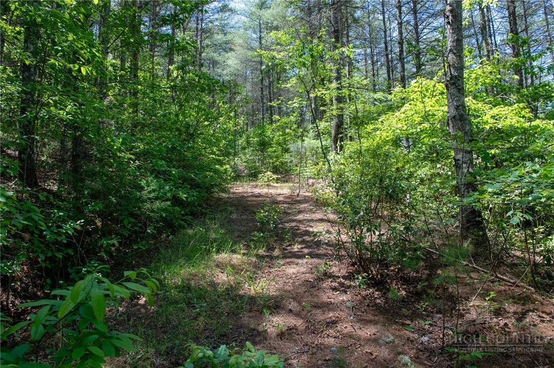 Image number 9 for the current listing