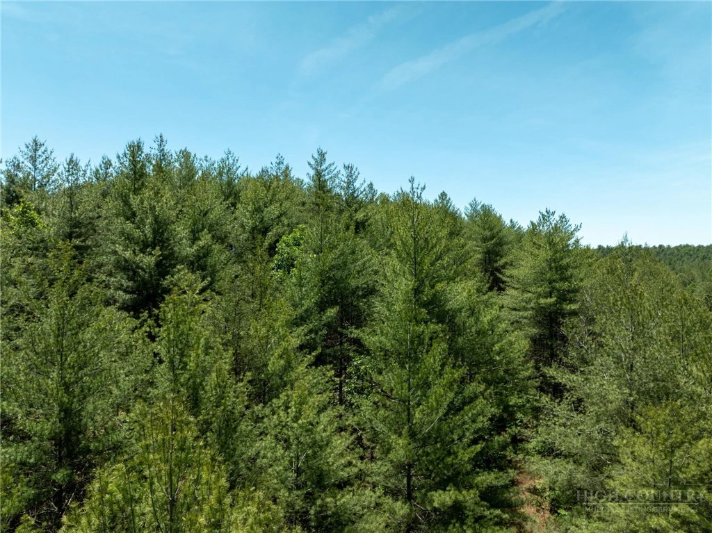Image number 19 for the current listing
