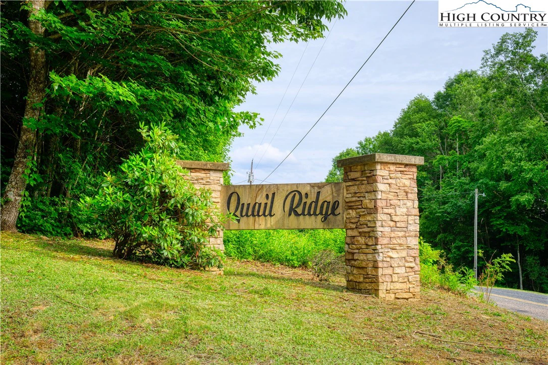 Image number 4 for the current listing