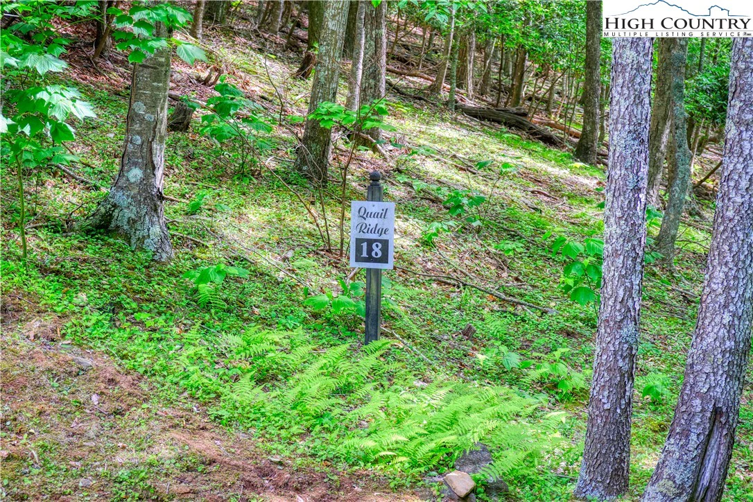 Image number 3 for the current listing