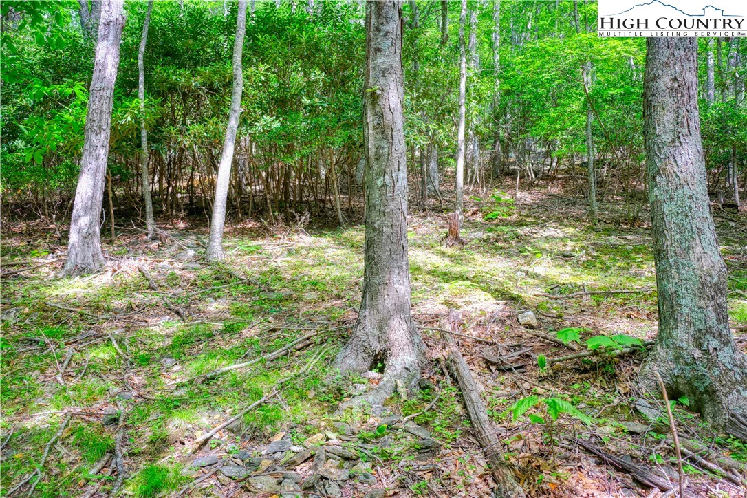 Image number 9 for the current listing