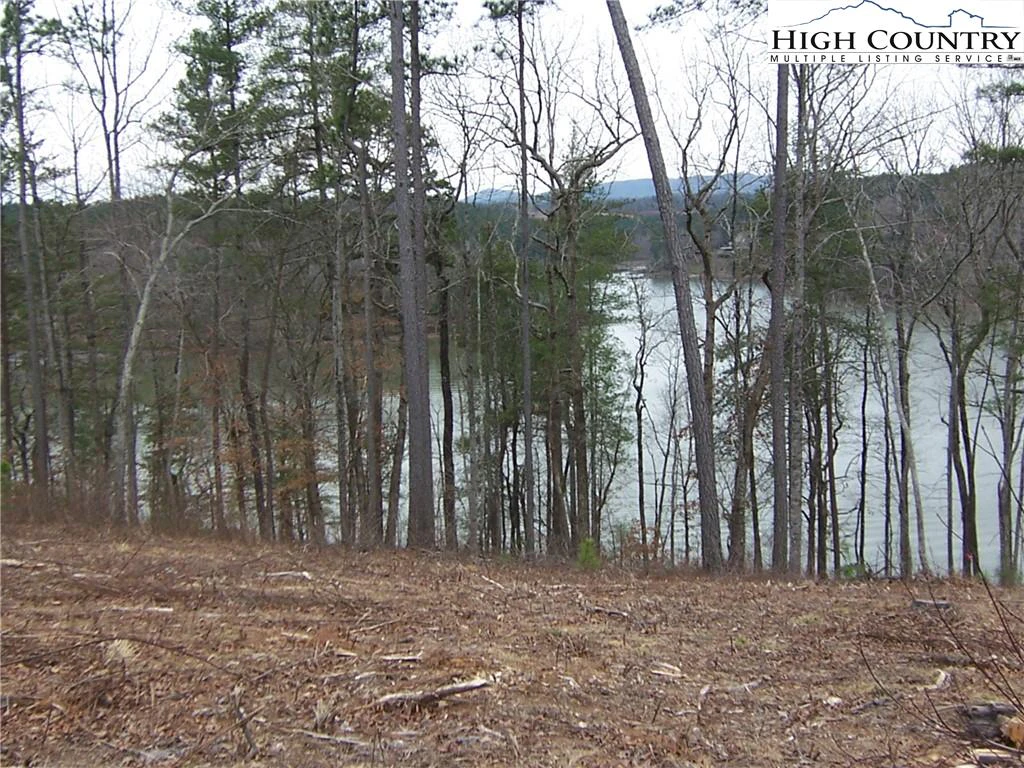 Image number 4 for the current listing