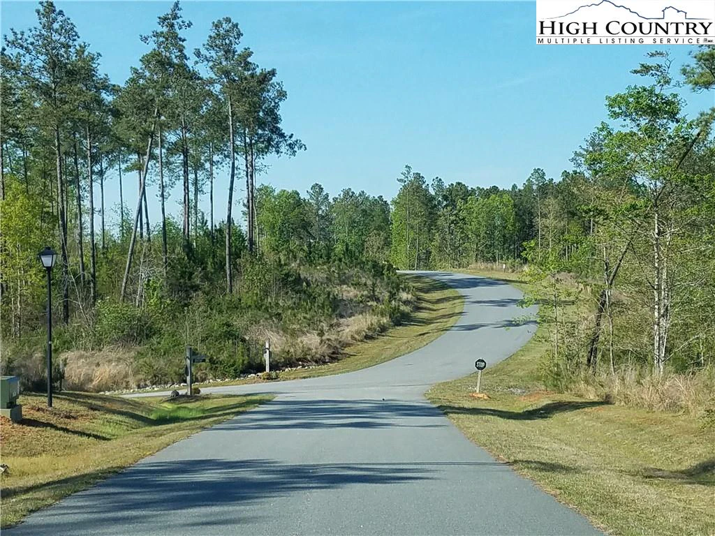 Image number 5 for the current listing