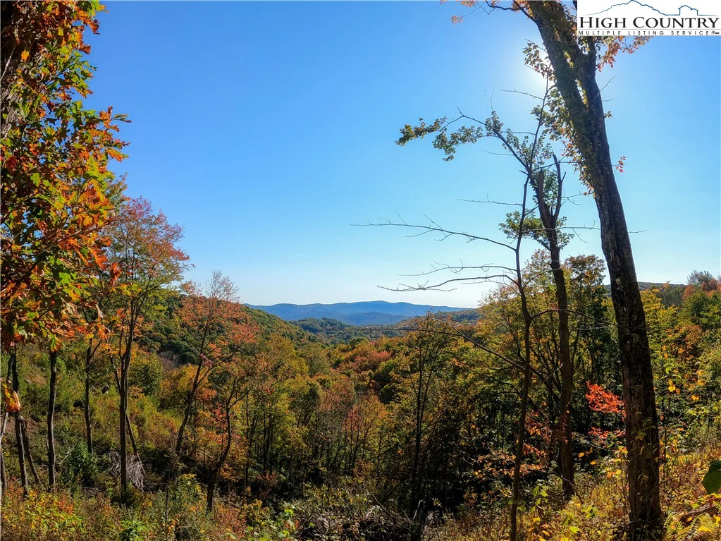 Image number 1 for the current listing