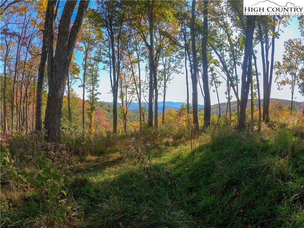 Image number 2 for the current listing