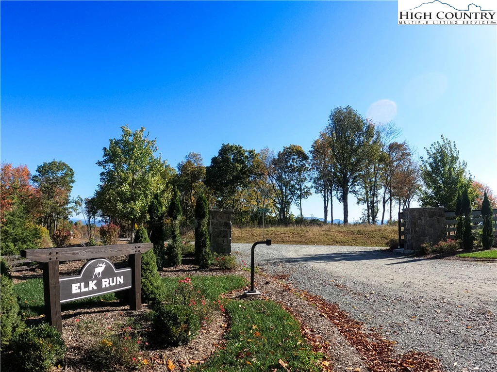 Image number 3 for the current listing