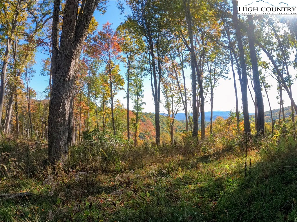 Image number 6 for the current listing