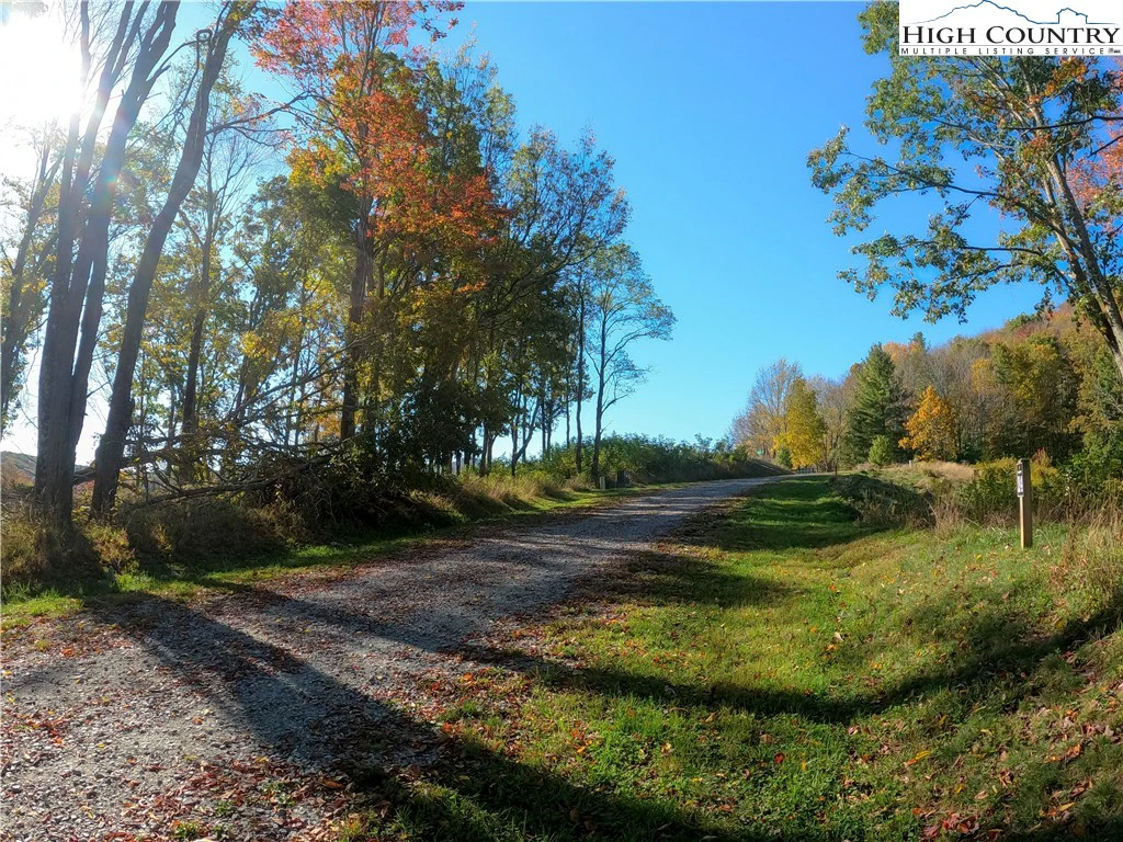 Image number 7 for the current listing