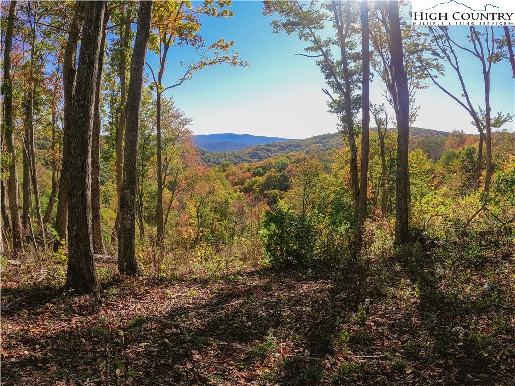Image number 9 for the current listing