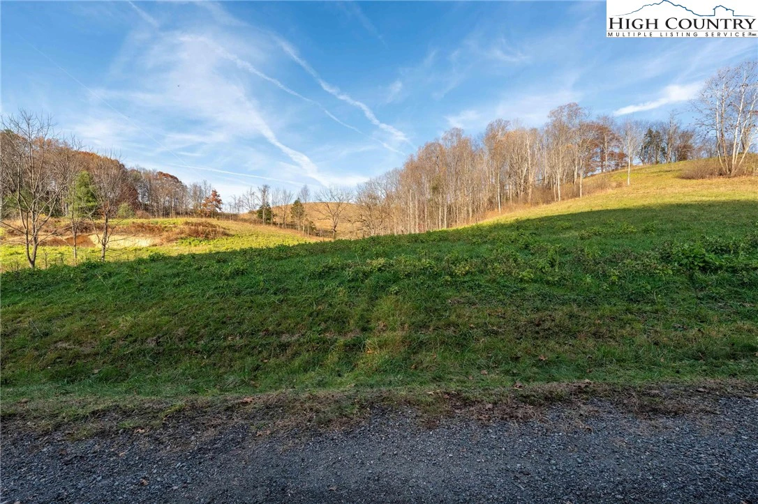 Image number 3 for the current listing
