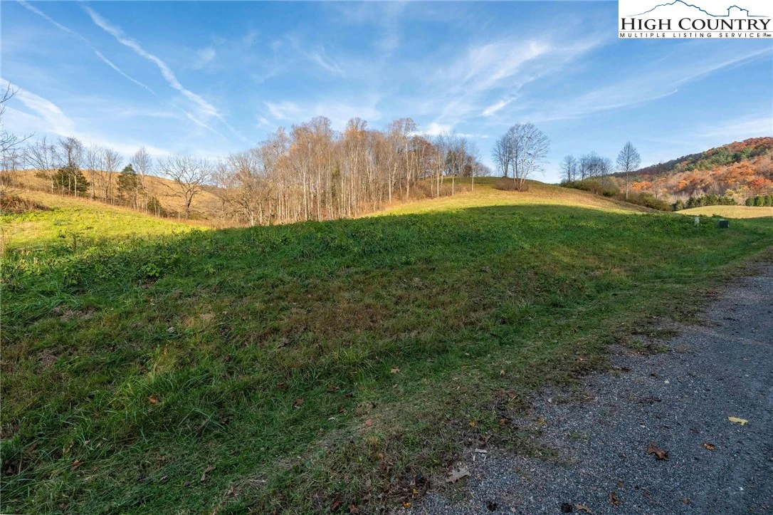 Image number 4 for the current listing