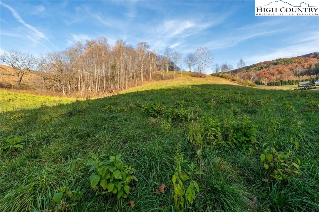 Image number 5 for the current listing