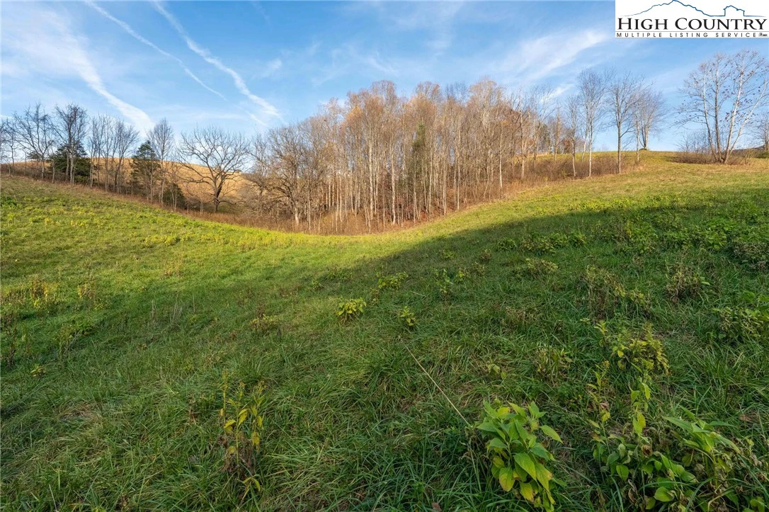 Image number 6 for the current listing