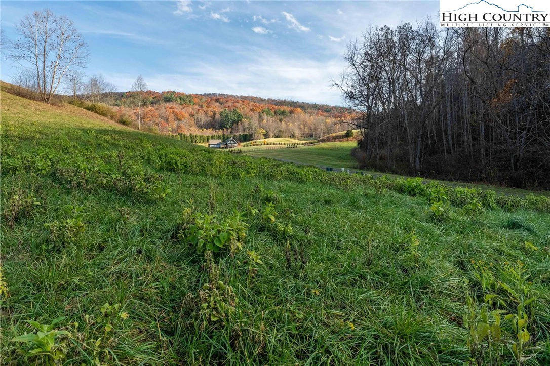 Image number 7 for the current listing