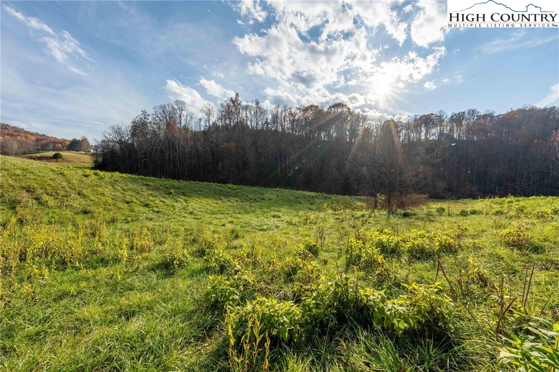 Image number 9 for the current listing