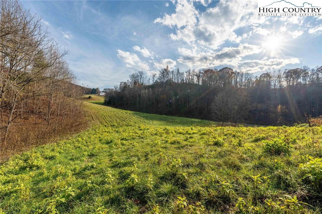 Image number 10 for the current listing