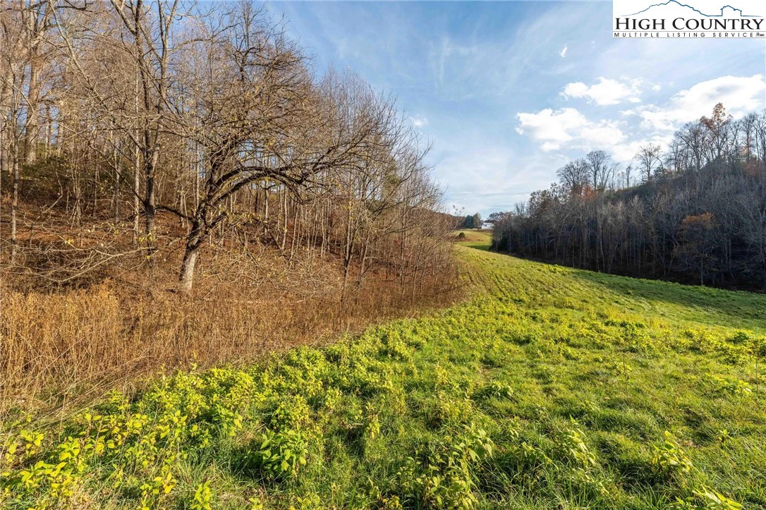 Image number 11 for the current listing