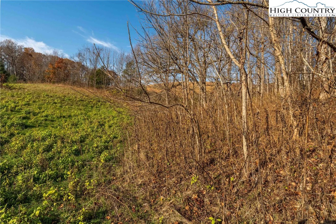 Image number 2 for the current listing