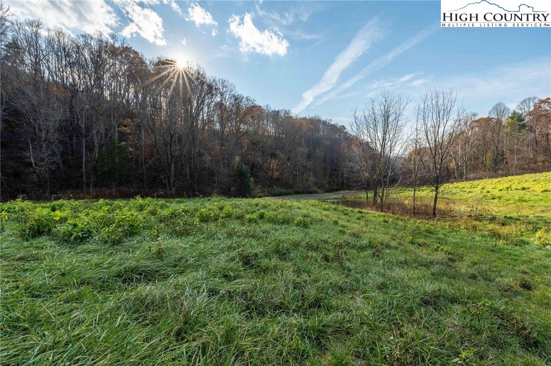 Image number 14 for the current listing
