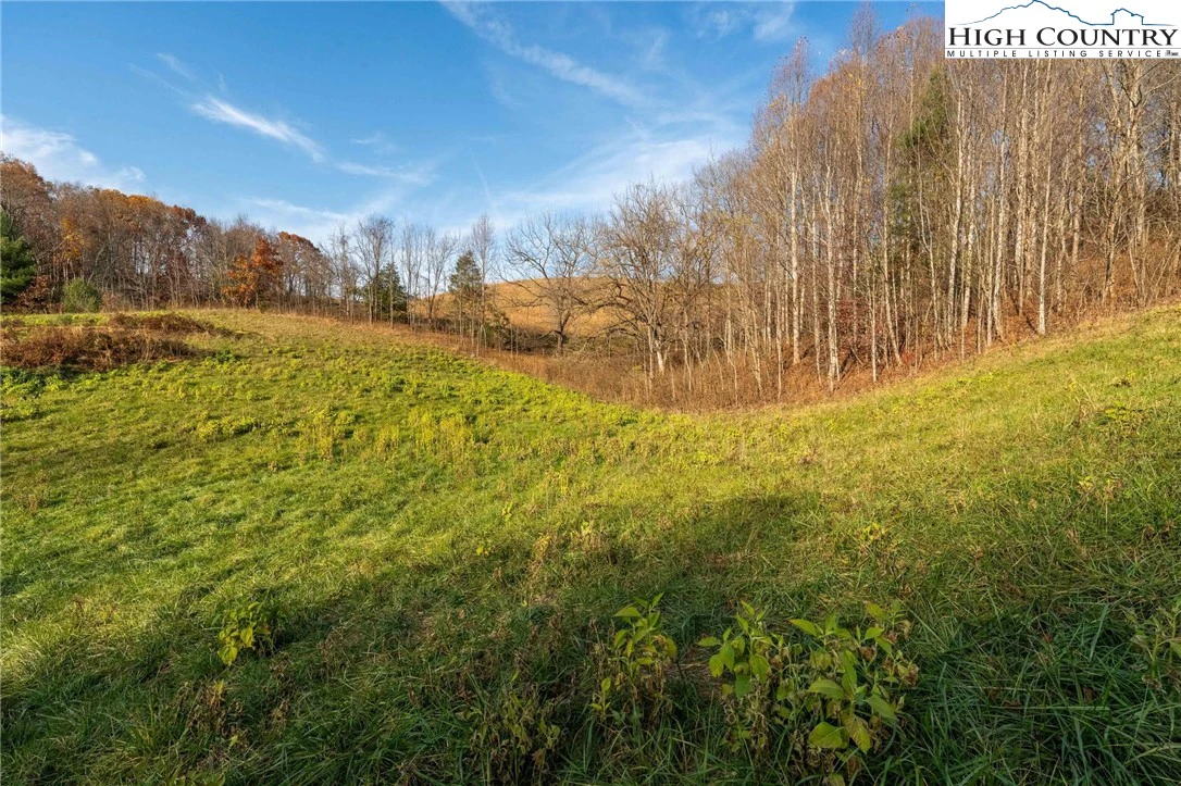 Image number 15 for the current listing