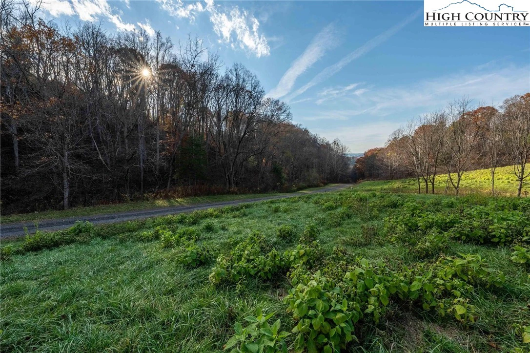 Image number 18 for the current listing