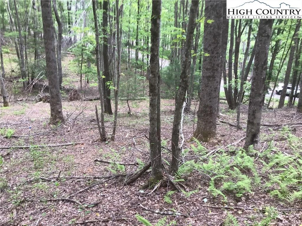Image number 1 for the current listing