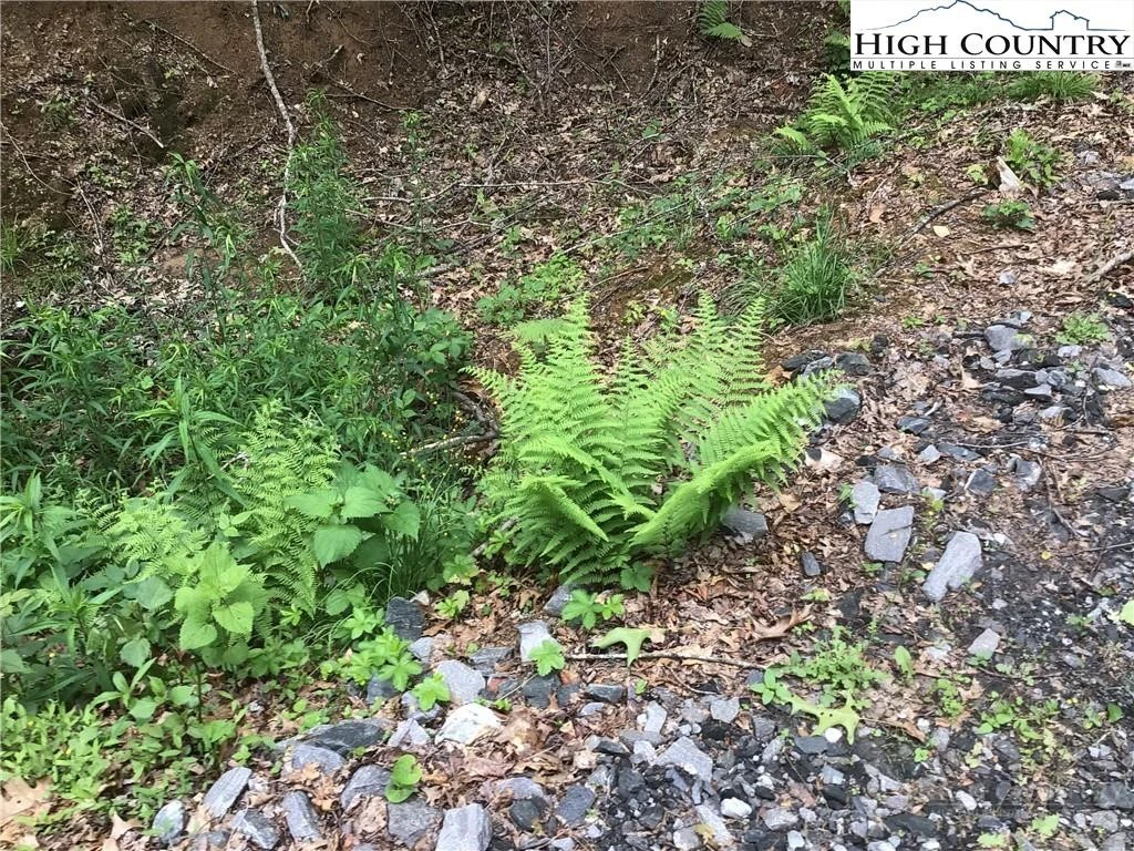 Image number 3 for the current listing