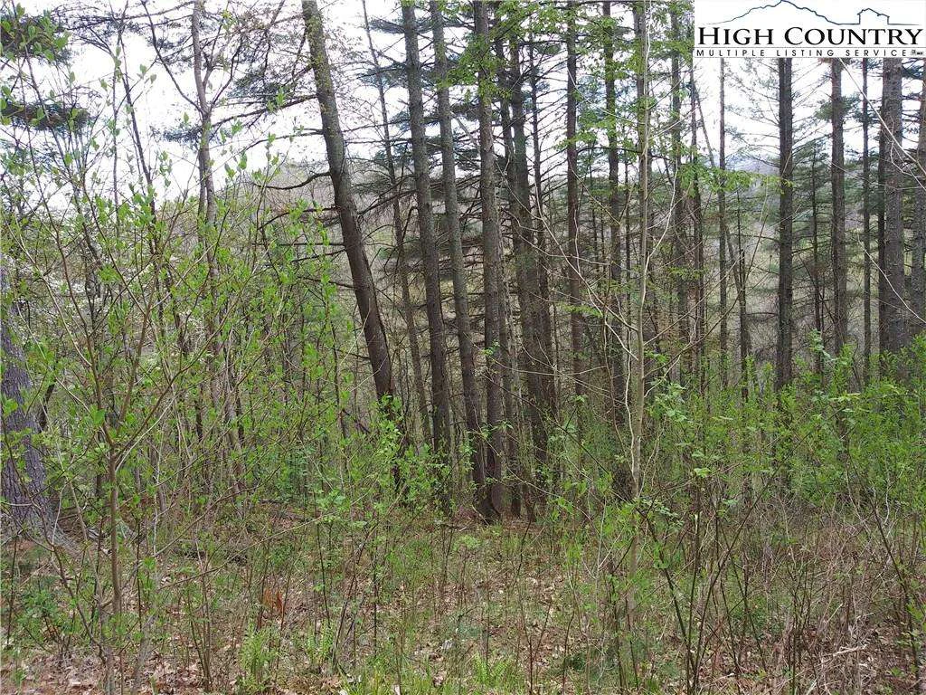 Image number 11 for the current listing