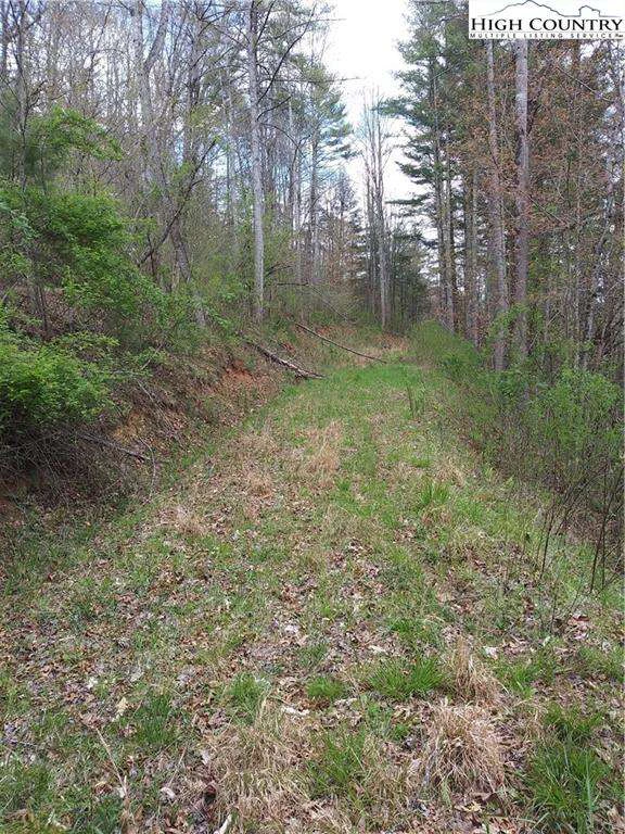 Image number 3 for the current listing