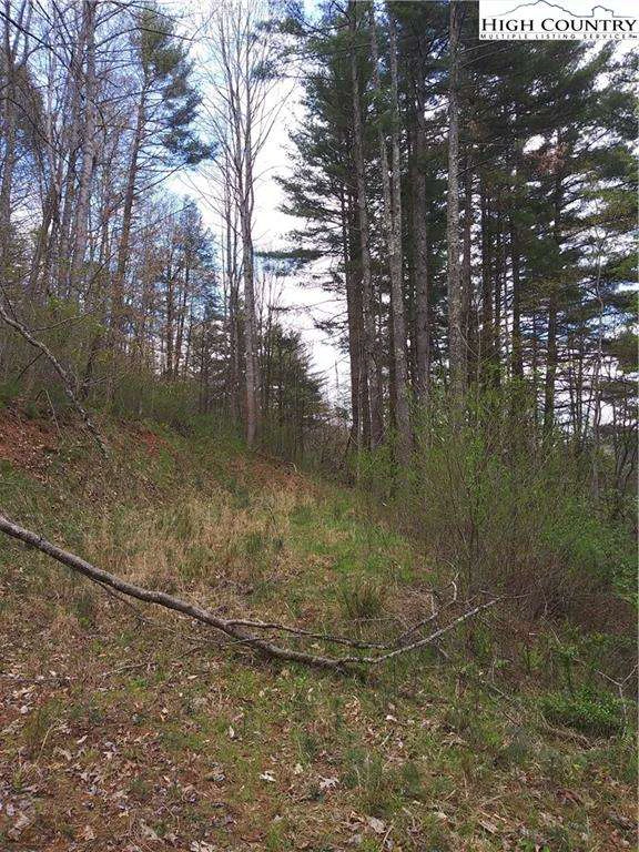 Image number 7 for the current listing