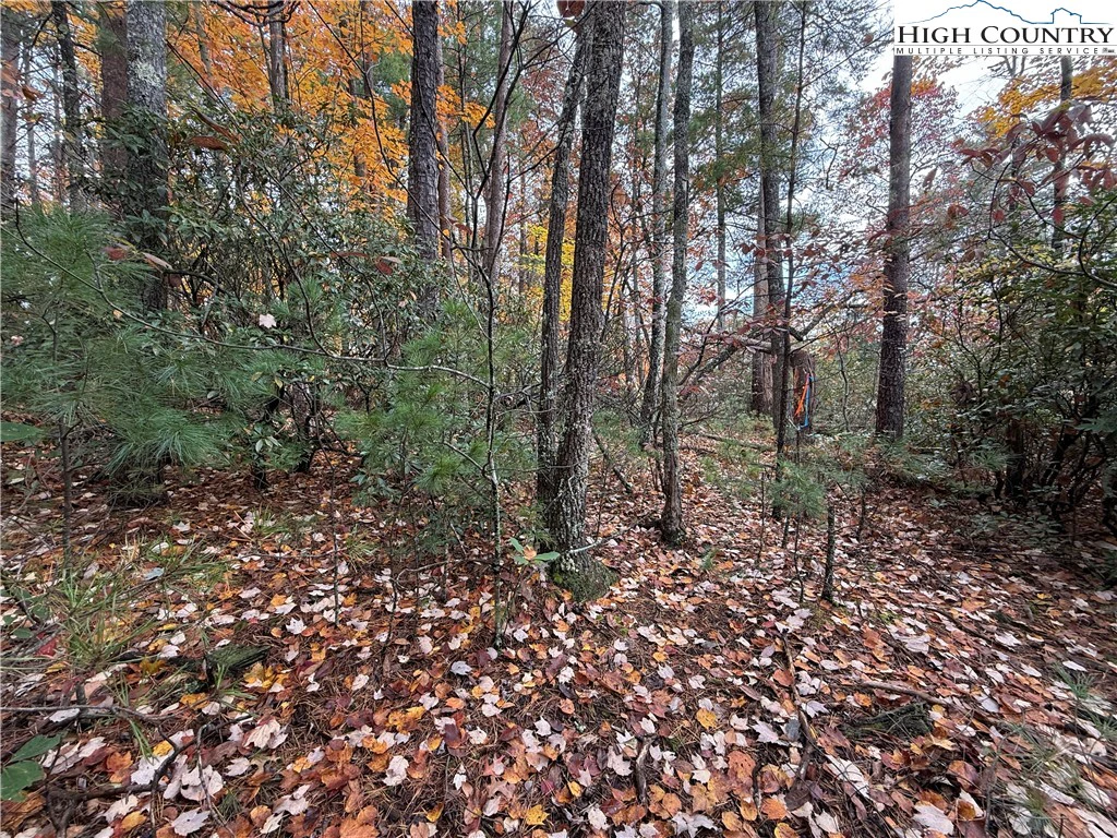 Image number 21 for the current listing