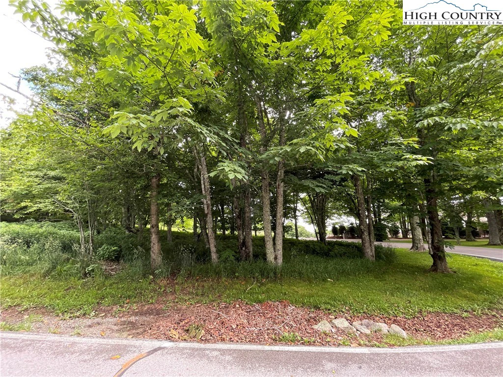 Image number 9 for the current listing