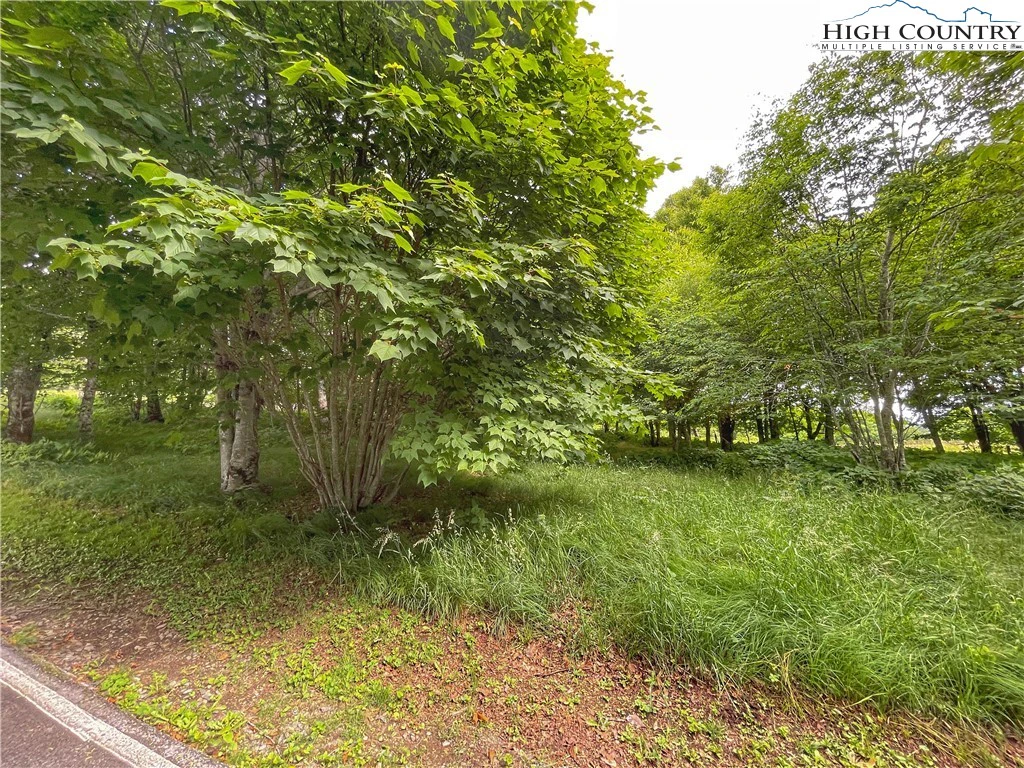 Image number 11 for the current listing