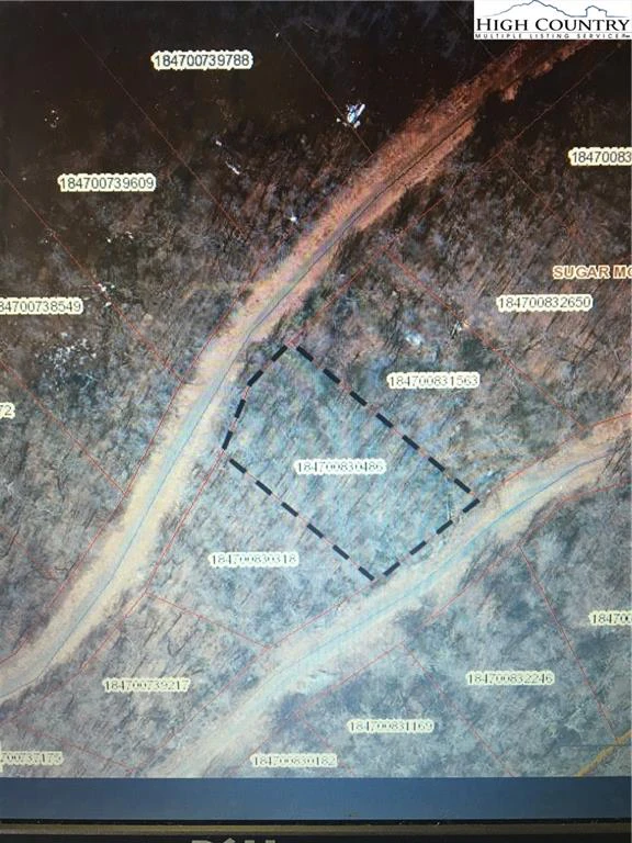 Image number 3 for the current listing
