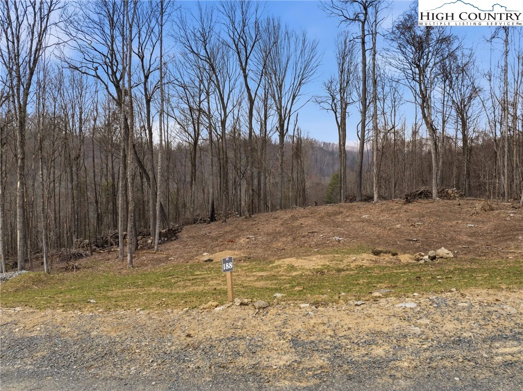 Image number 5 for the current listing
