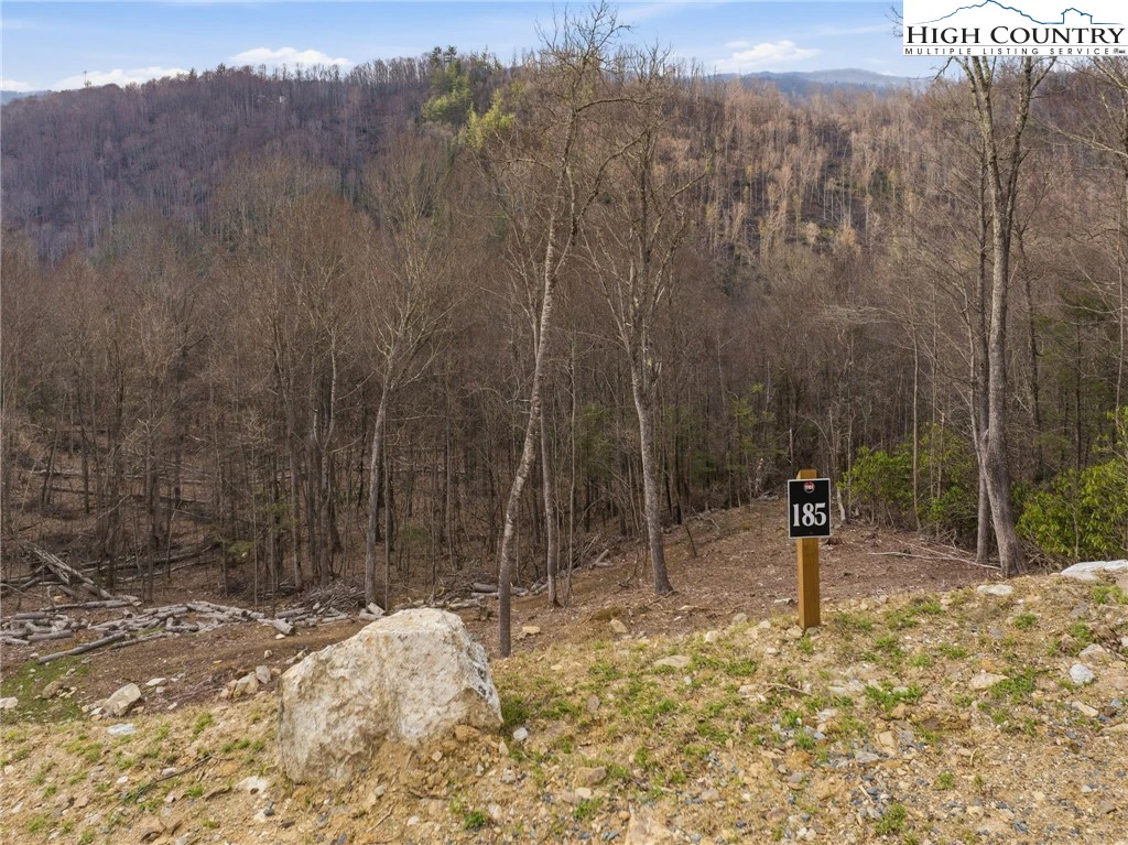 Image number 14 for the current listing