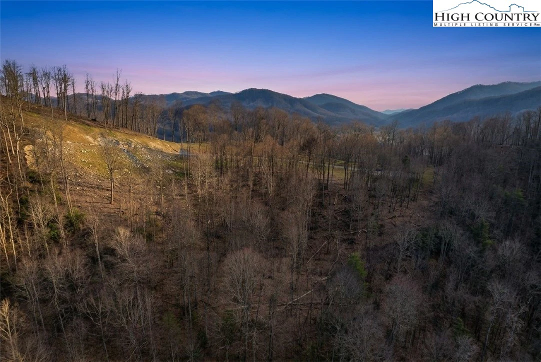 Image number 9 for the current listing