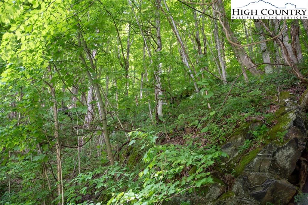 Image number 8 for the current listing