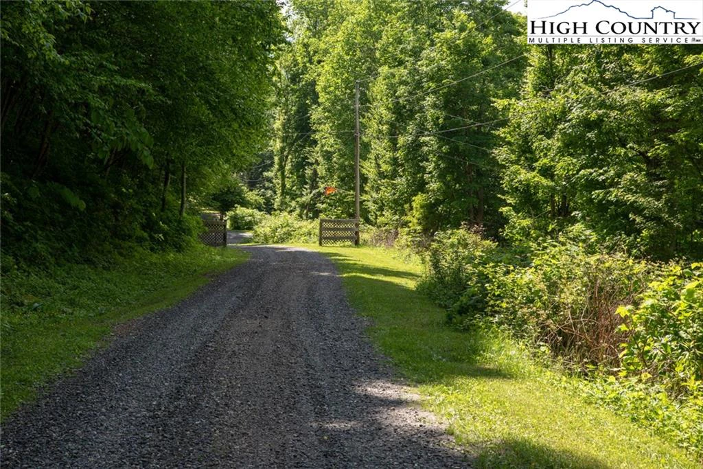 Image number 9 for the current listing